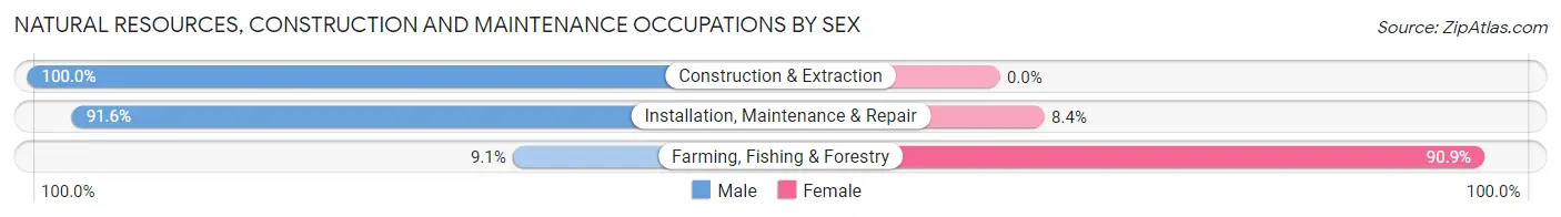 Natural Resources, Construction and Maintenance Occupations by Sex in Zip Code 94583
