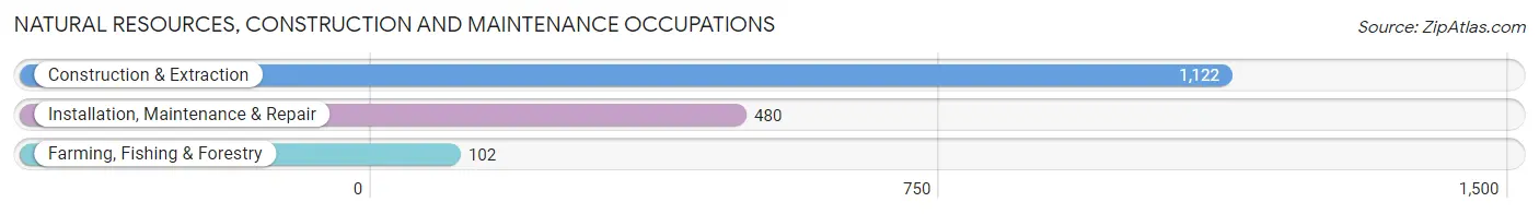 Natural Resources, Construction and Maintenance Occupations in Zip Code 94590