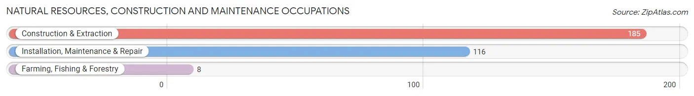 Natural Resources, Construction and Maintenance Occupations in Zip Code 94930