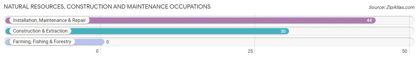 Natural Resources, Construction and Maintenance Occupations in Zip Code 94951