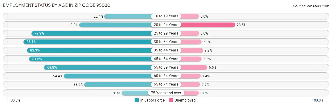 Employment Status by Age in Zip Code 95030