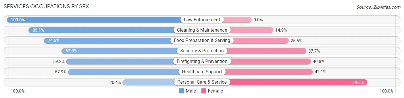 Services Occupations by Sex in Zip Code 95032