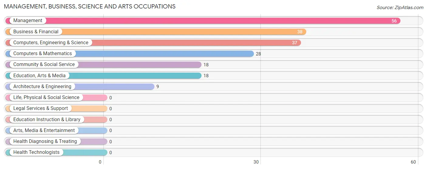 Management, Business, Science and Arts Occupations in Zip Code 95039