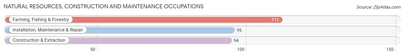 Natural Resources, Construction and Maintenance Occupations in Zip Code 95045