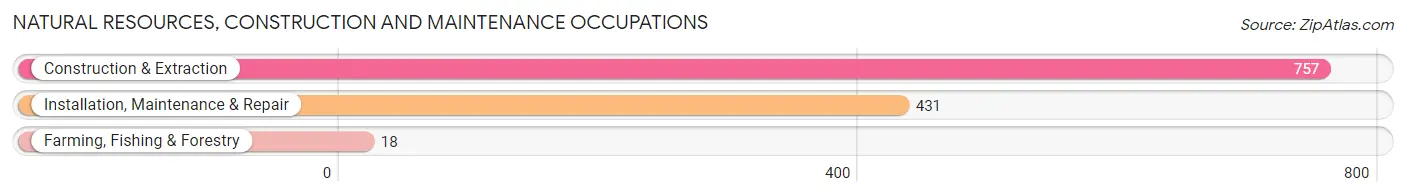 Natural Resources, Construction and Maintenance Occupations in Zip Code 95050