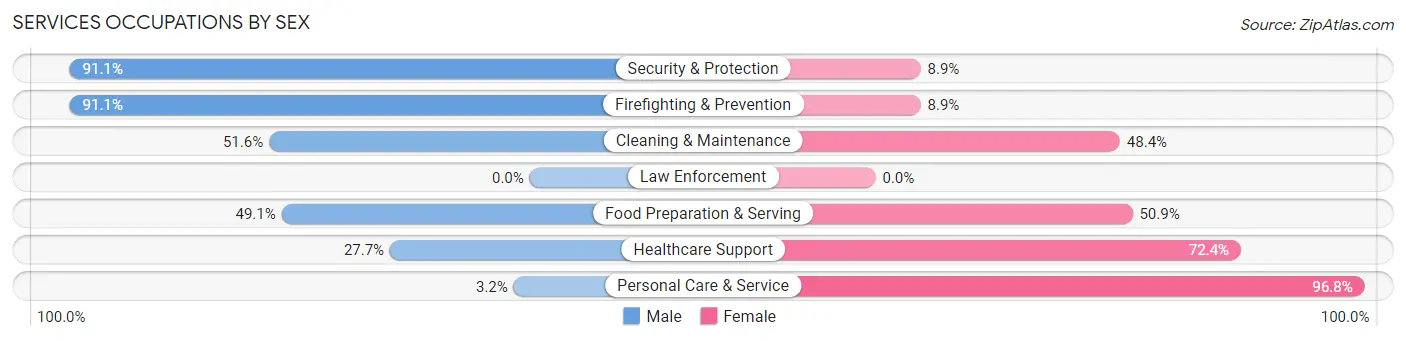 Services Occupations by Sex in Zip Code 95110
