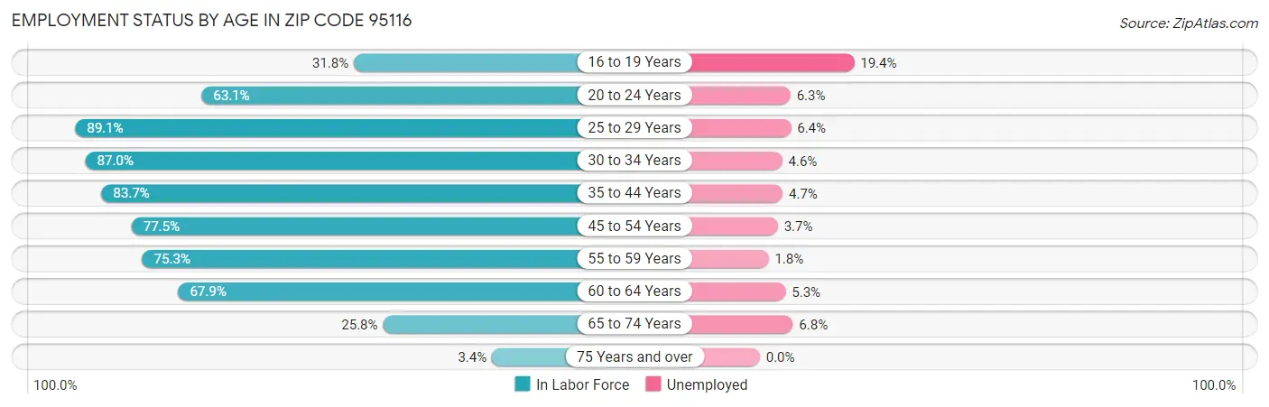 Employment Status by Age in Zip Code 95116
