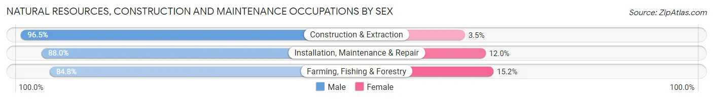 Natural Resources, Construction and Maintenance Occupations by Sex in Zip Code 95123