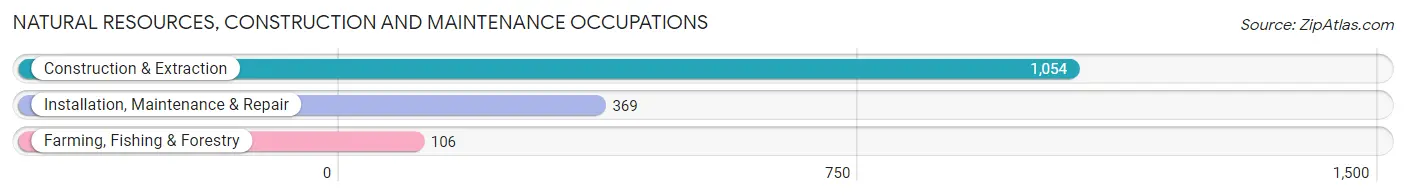 Natural Resources, Construction and Maintenance Occupations in Zip Code 95128