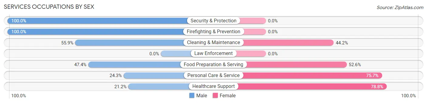 Services Occupations by Sex in Zip Code 95129