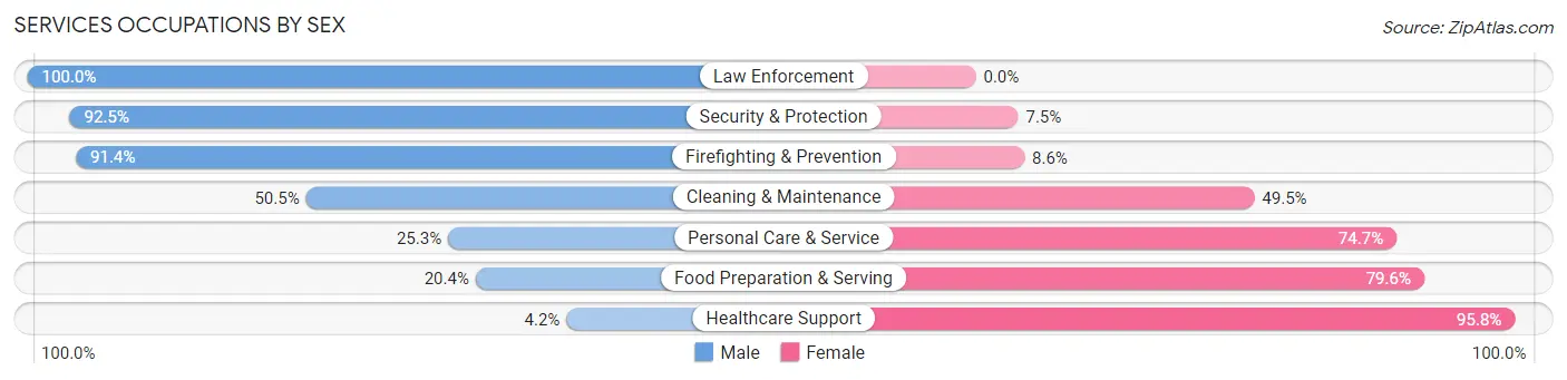 Services Occupations by Sex in Zip Code 95134