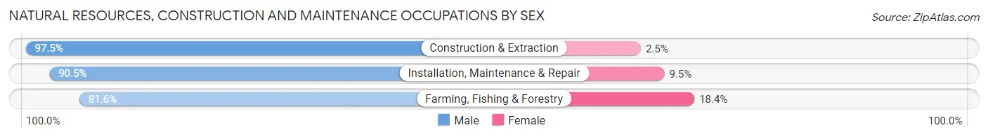 Natural Resources, Construction and Maintenance Occupations by Sex in Zip Code 95136