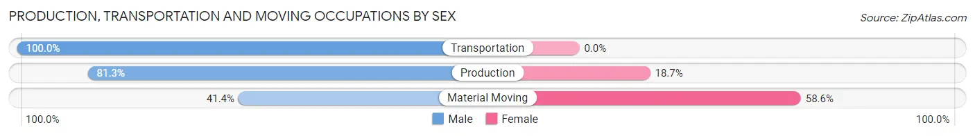 Production, Transportation and Moving Occupations by Sex in Zip Code 95138