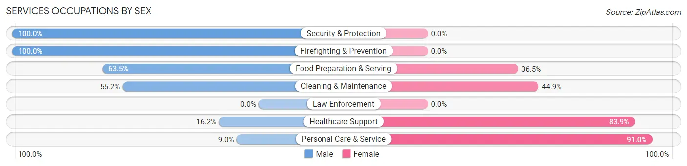 Services Occupations by Sex in Zip Code 95138