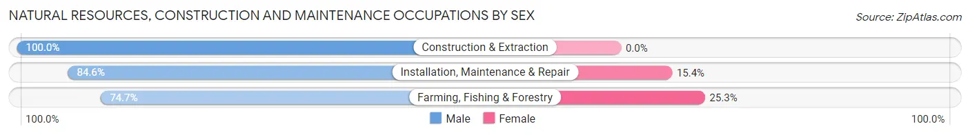 Natural Resources, Construction and Maintenance Occupations by Sex in Zip Code 95148