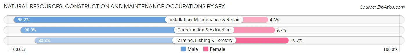 Natural Resources, Construction and Maintenance Occupations by Sex in Zip Code 95203