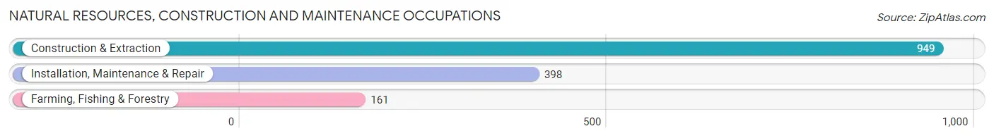 Natural Resources, Construction and Maintenance Occupations in Zip Code 95204