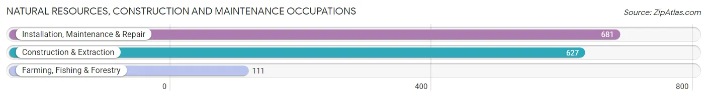 Natural Resources, Construction and Maintenance Occupations in Zip Code 95209