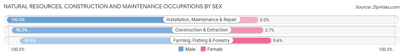 Natural Resources, Construction and Maintenance Occupations by Sex in Zip Code 95242
