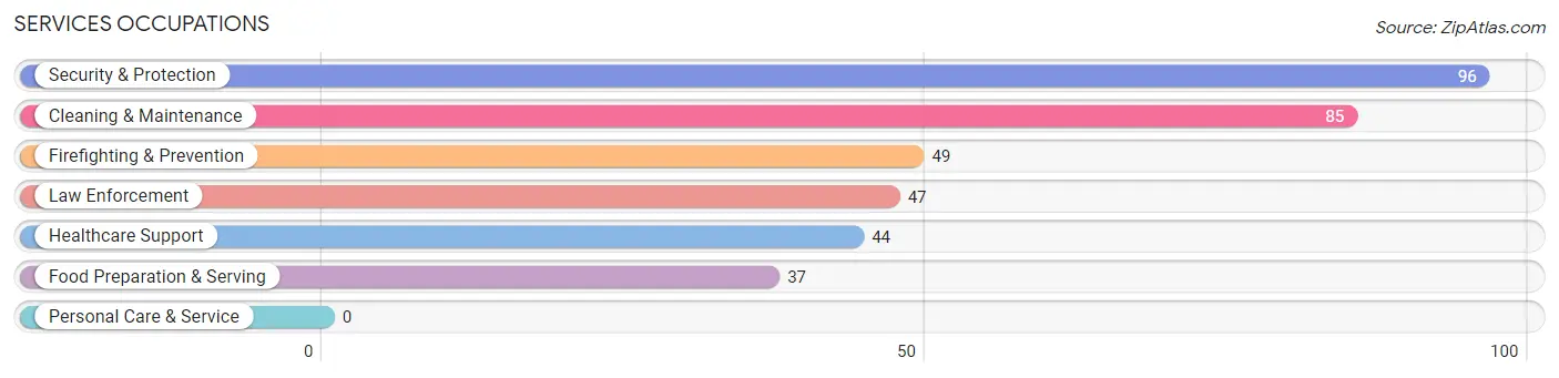 Services Occupations in Zip Code 95245