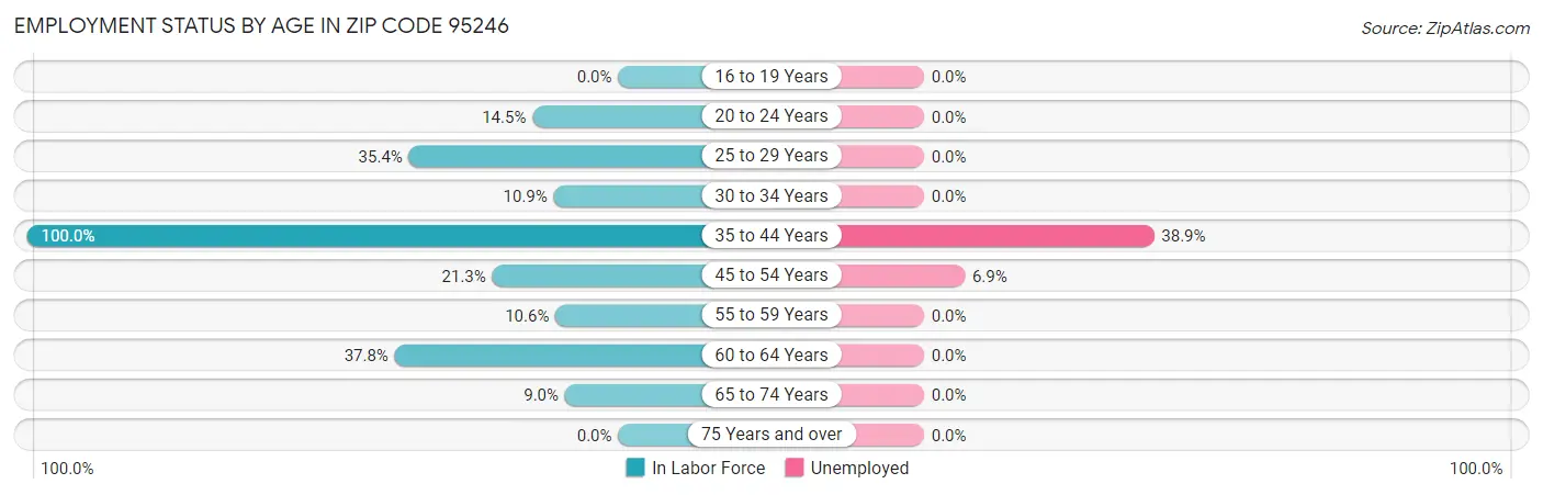 Employment Status by Age in Zip Code 95246