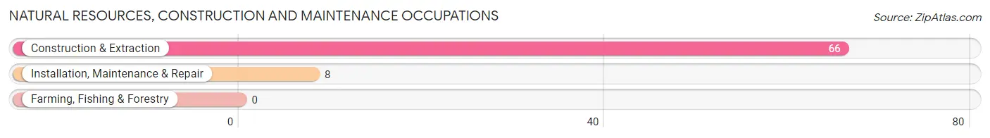 Natural Resources, Construction and Maintenance Occupations in Zip Code 95247