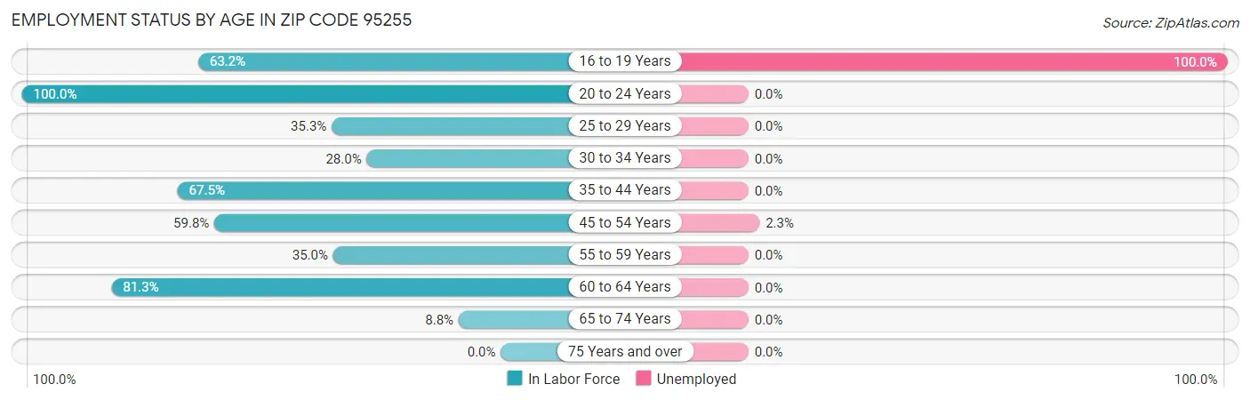 Employment Status by Age in Zip Code 95255