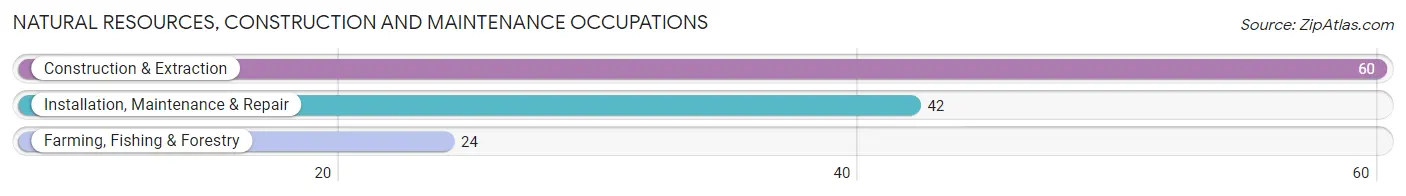 Natural Resources, Construction and Maintenance Occupations in Zip Code 95258