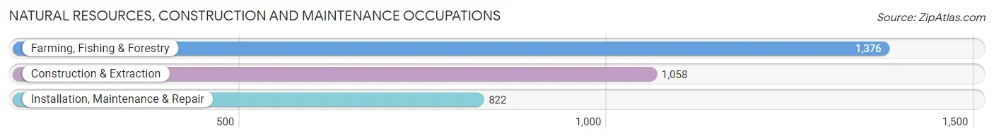 Natural Resources, Construction and Maintenance Occupations in Zip Code 95301
