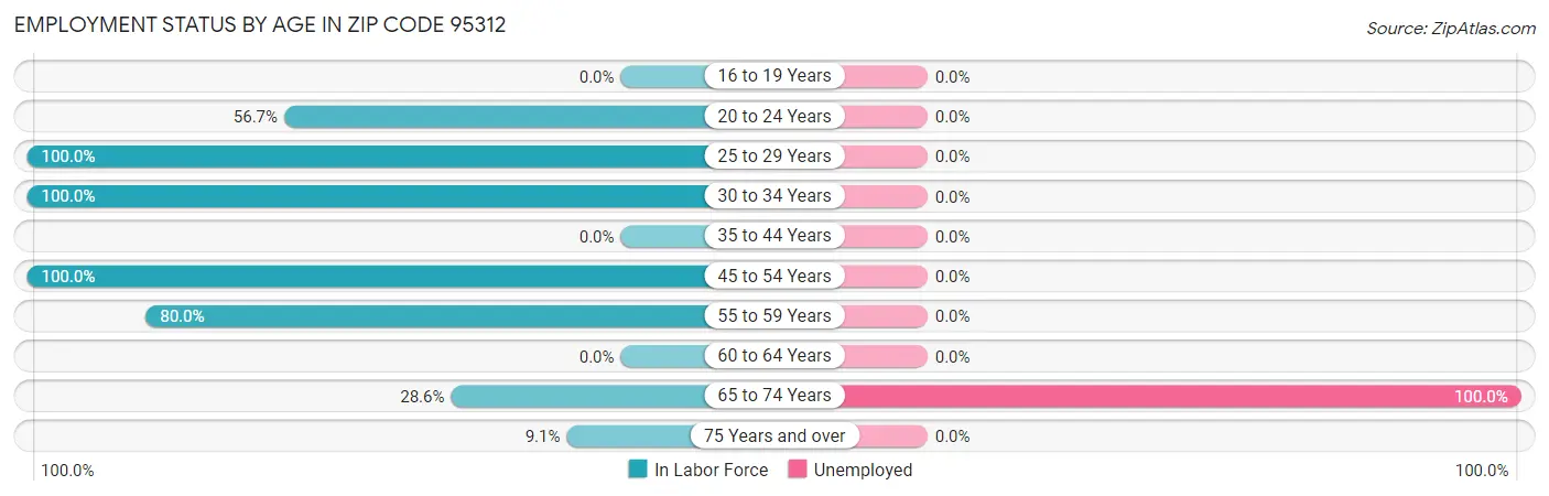 Employment Status by Age in Zip Code 95312
