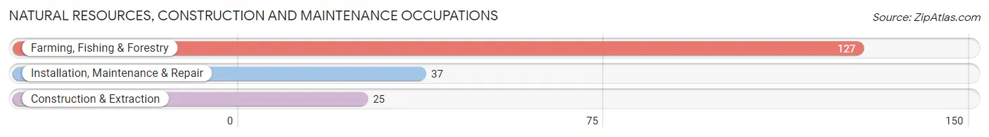 Natural Resources, Construction and Maintenance Occupations in Zip Code 95313