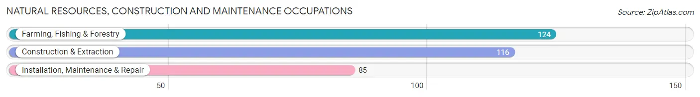 Natural Resources, Construction and Maintenance Occupations in Zip Code 95328