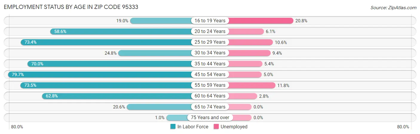Employment Status by Age in Zip Code 95333