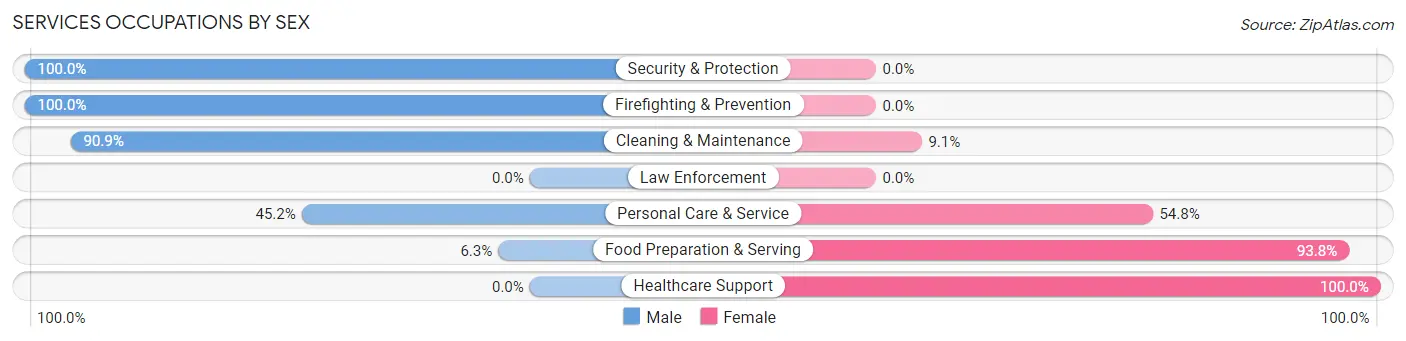 Services Occupations by Sex in Zip Code 95333