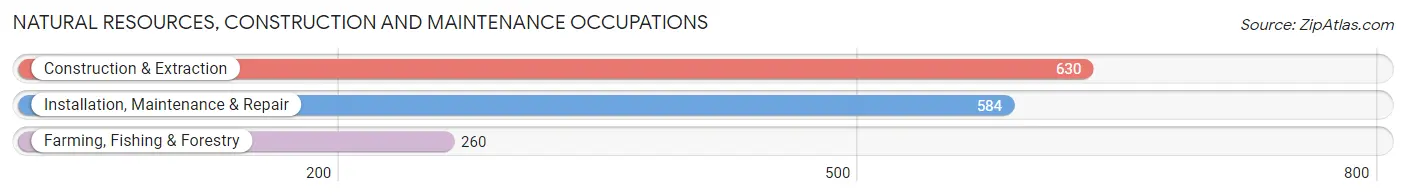 Natural Resources, Construction and Maintenance Occupations in Zip Code 95354