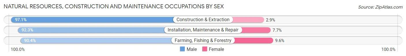 Natural Resources, Construction and Maintenance Occupations by Sex in Zip Code 95361