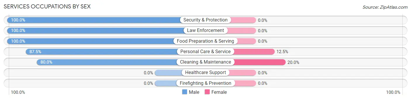 Services Occupations by Sex in Zip Code 95369
