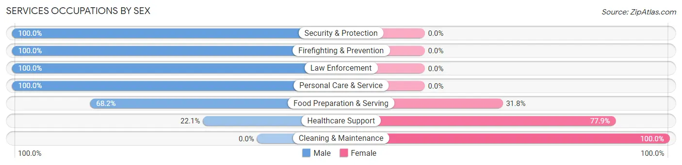 Services Occupations by Sex in Zip Code 95383