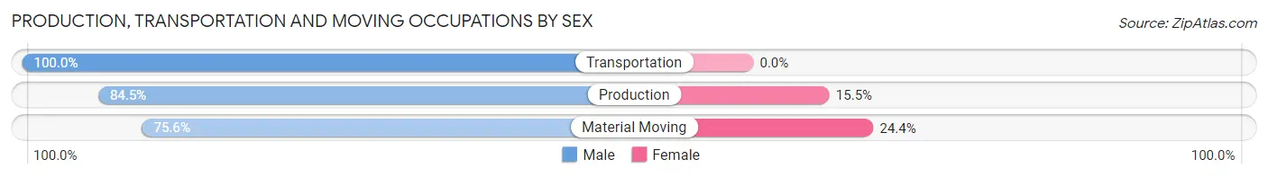Production, Transportation and Moving Occupations by Sex in Zip Code 95386