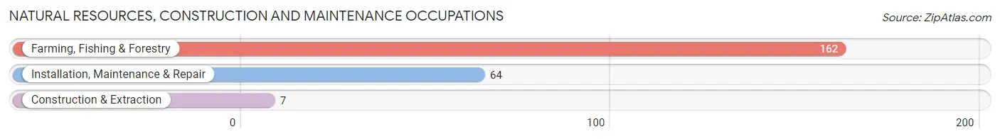 Natural Resources, Construction and Maintenance Occupations in Zip Code 95389