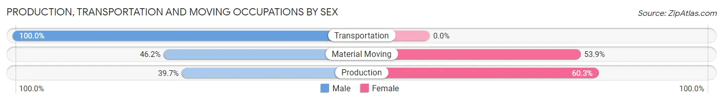Production, Transportation and Moving Occupations by Sex in Zip Code 95389