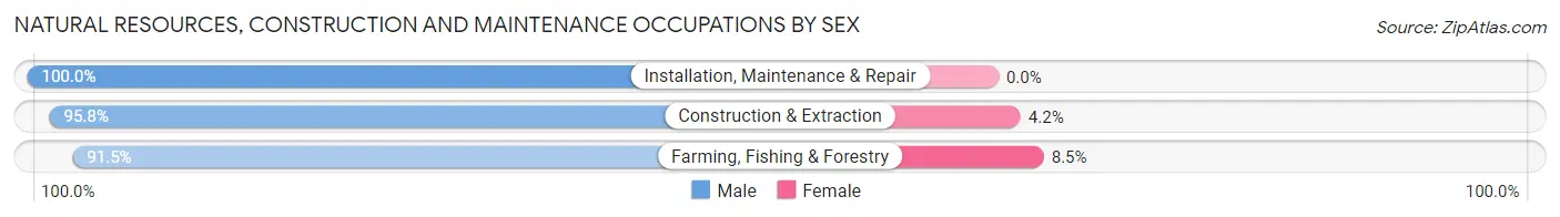 Natural Resources, Construction and Maintenance Occupations by Sex in Zip Code 95403