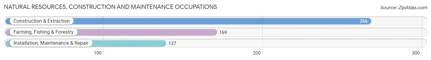 Natural Resources, Construction and Maintenance Occupations in Zip Code 95453