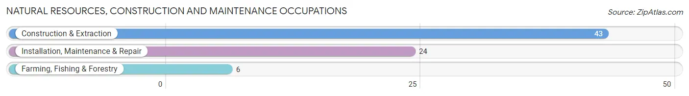 Natural Resources, Construction and Maintenance Occupations in Zip Code 95459