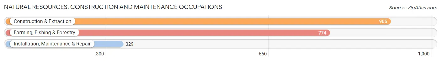 Natural Resources, Construction and Maintenance Occupations in Zip Code 95482