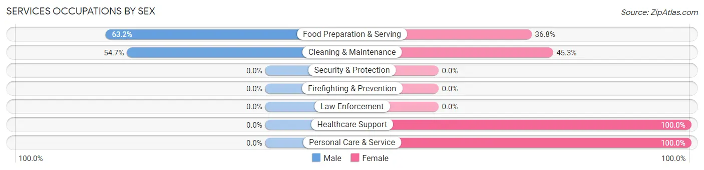 Services Occupations by Sex in Zip Code 95528