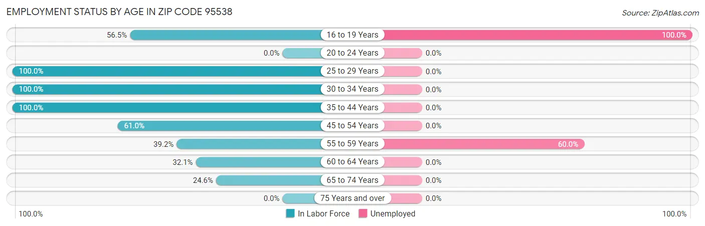 Employment Status by Age in Zip Code 95538
