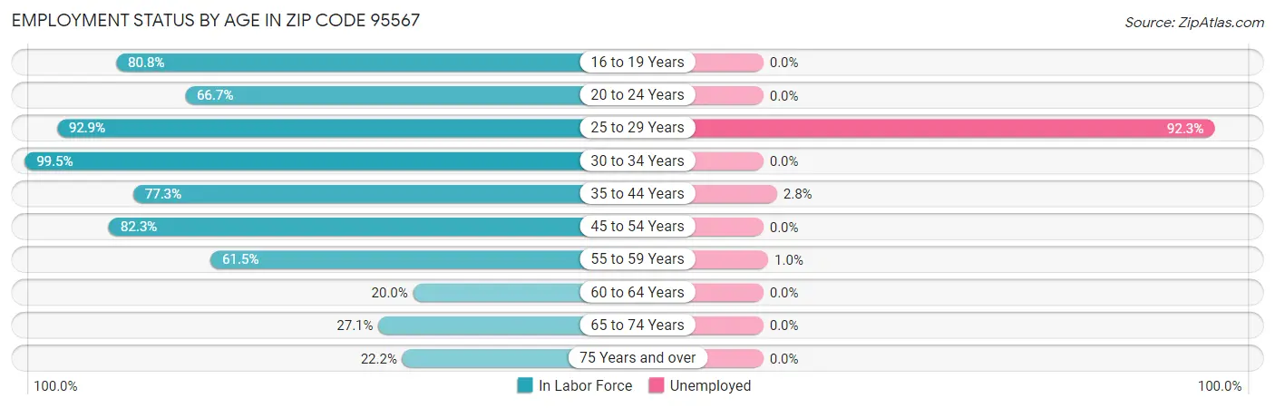 Employment Status by Age in Zip Code 95567