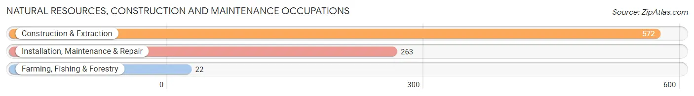 Natural Resources, Construction and Maintenance Occupations in Zip Code 95603