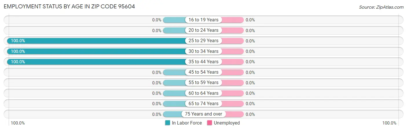 Employment Status by Age in Zip Code 95604